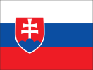 Allgemeine Einkaufsbedingungen - Slowakei