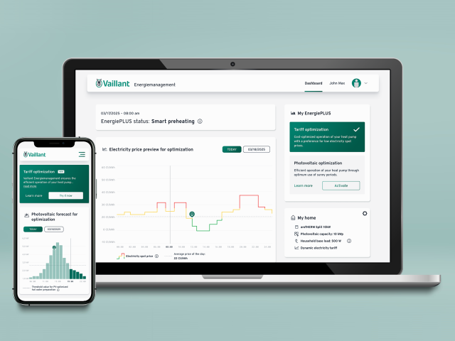 Vaillant Group