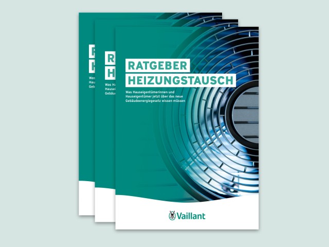 Ratgeber Heizungstausch