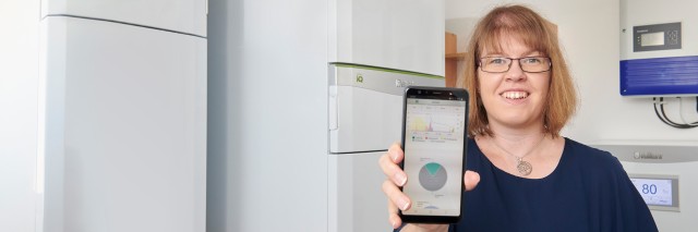 Vaillant Group
