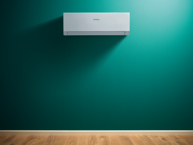 Vaillant Group