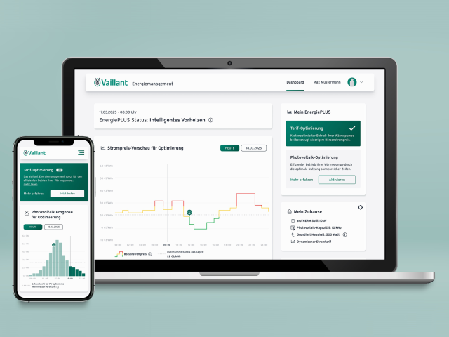 Vaillant Group