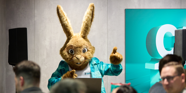 Vaillant Group