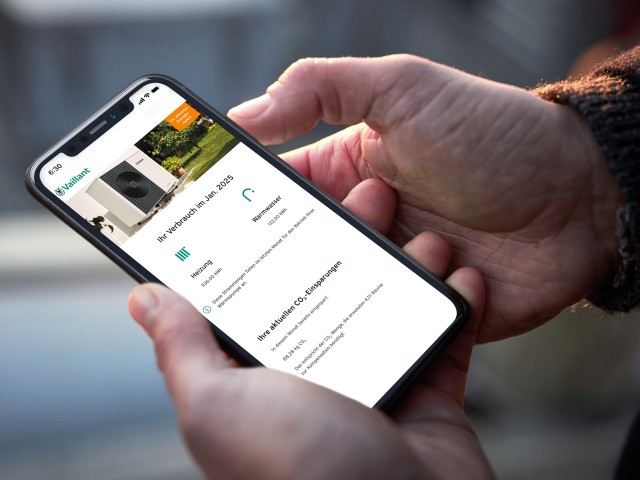 Vaillant Group