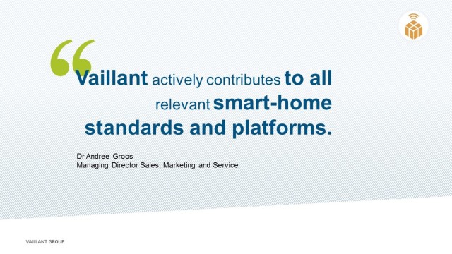 Vaillant Group