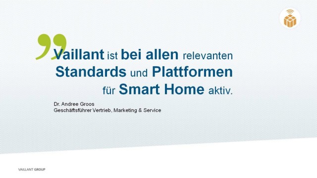 Vaillant Group