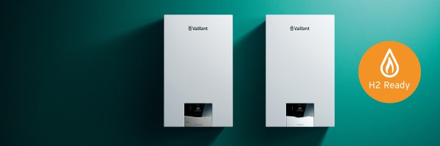 Vaillant Group