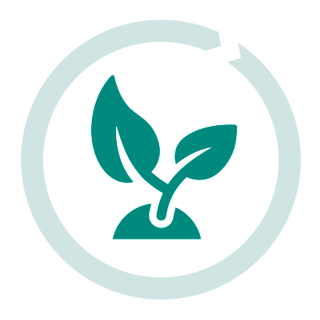 Vaillant Group