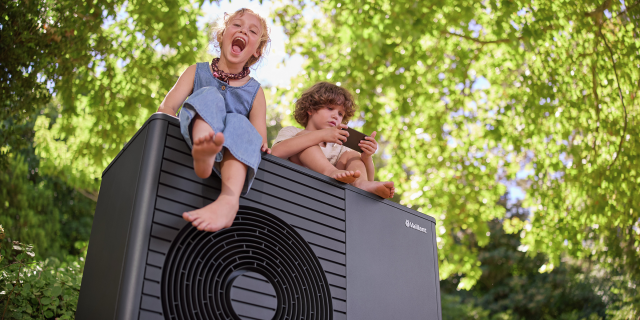 Vaillant Group