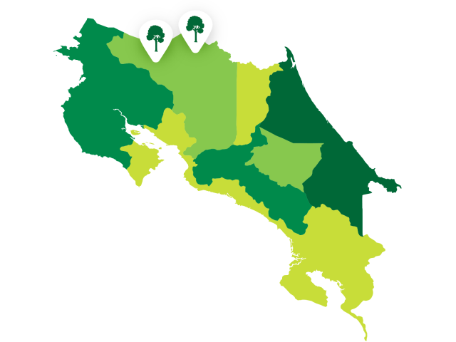 Vaillant Group