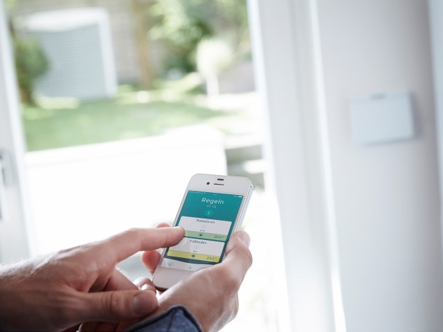 Vaillant Group