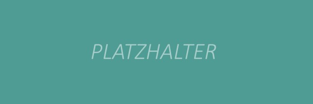 Vaillant Group