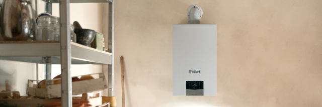 Vaillant Group