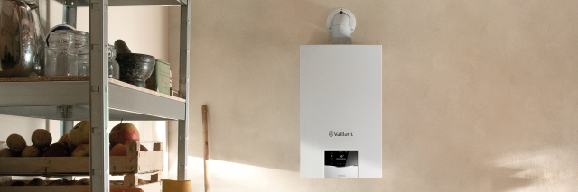 Vaillant Group